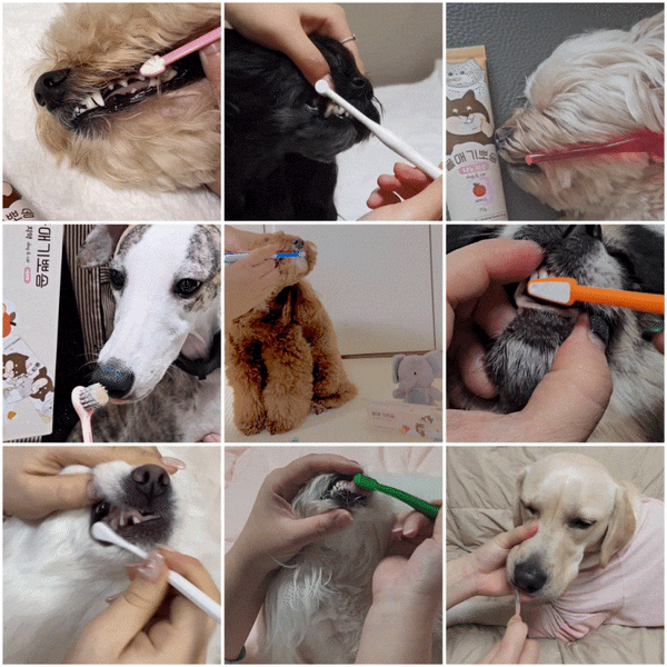 韓國 Dear Labs 蘋果味納米牙膏 (貓狗合用)  Korea Dear Labs Nano Toothpaste Apple Flavor (Suitable for cats & dogs) 70g