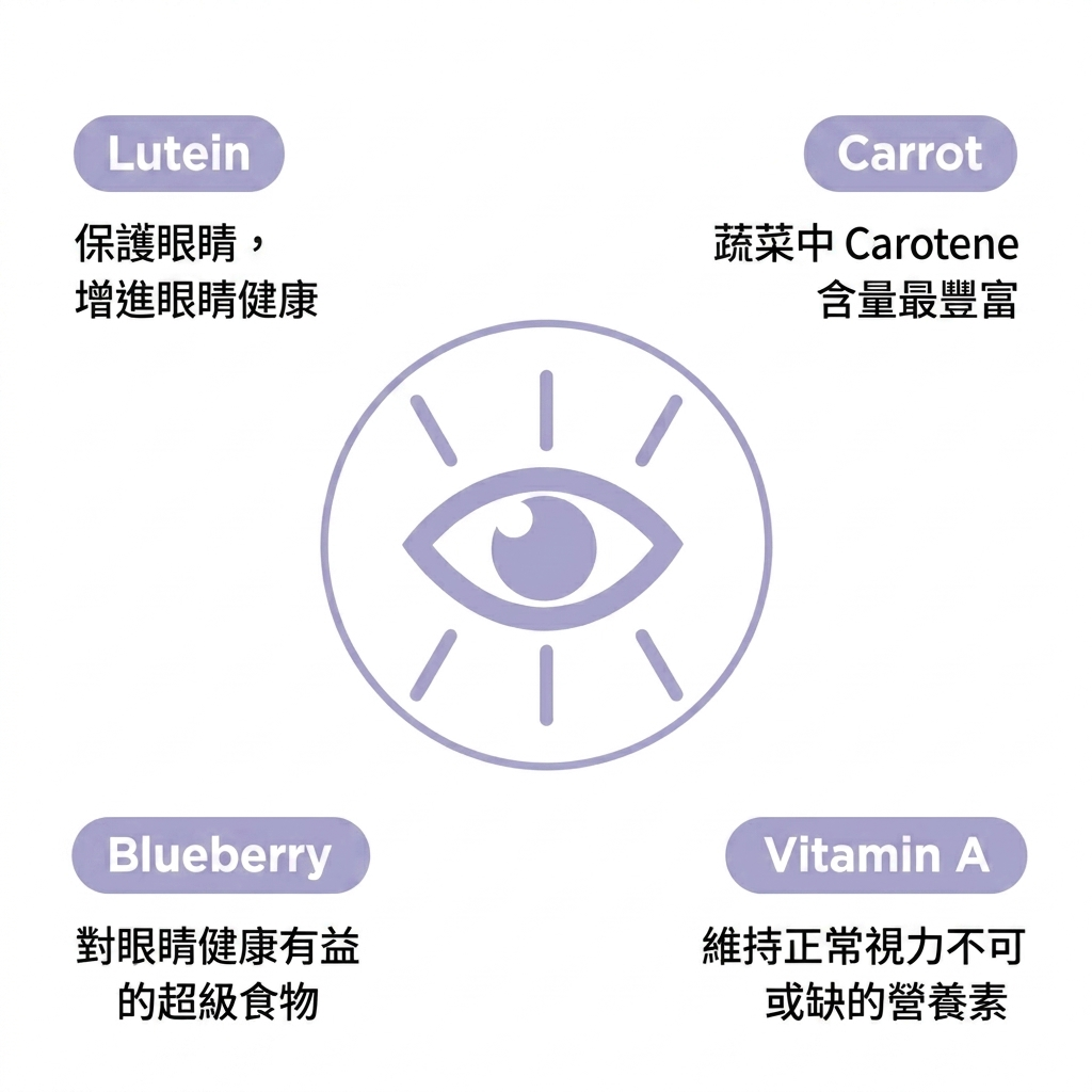 韓國 FROM VET 葉黃素 眼睛健康 貓肉泥 魚油貓條 Korean FROM VET Lutein Pure Stick 12 Sticks