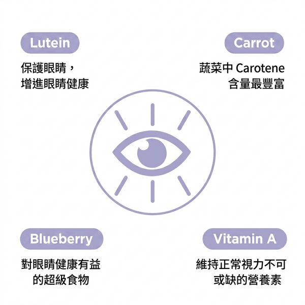 韓國 FROM VET 葉黃素 眼睛健康 貓肉泥 魚油貓條 Korean FROM VET Lutein Pure Stick 12 Sticks
