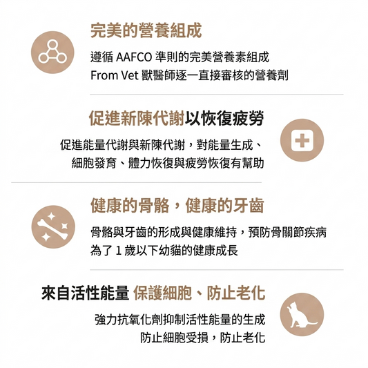 韓國 FROM VET 多種維他命 增強抵抗力 貓肉泥 魚油貓條 Korean FROM VET Multi Vitamin Pure Stick 12 Sticks