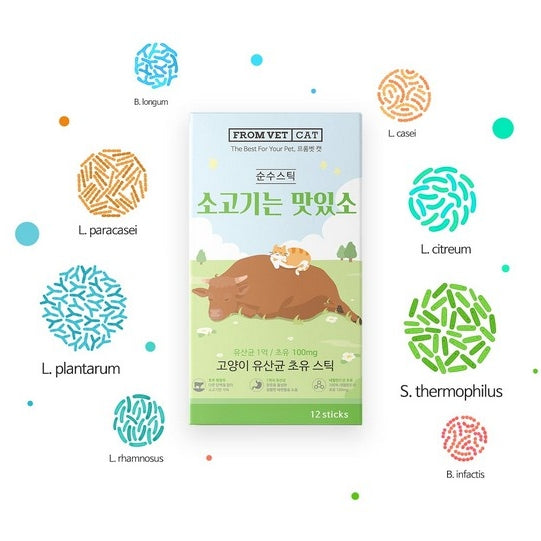 韓國 FROM VET 益生菌 & 牛初乳 貓肉泥 魚油貓條 - 牛肉口味 Korean FROM VET Probiotics & Colostrum Cat Treat Stick - Beef Flavor 12 Sticks
