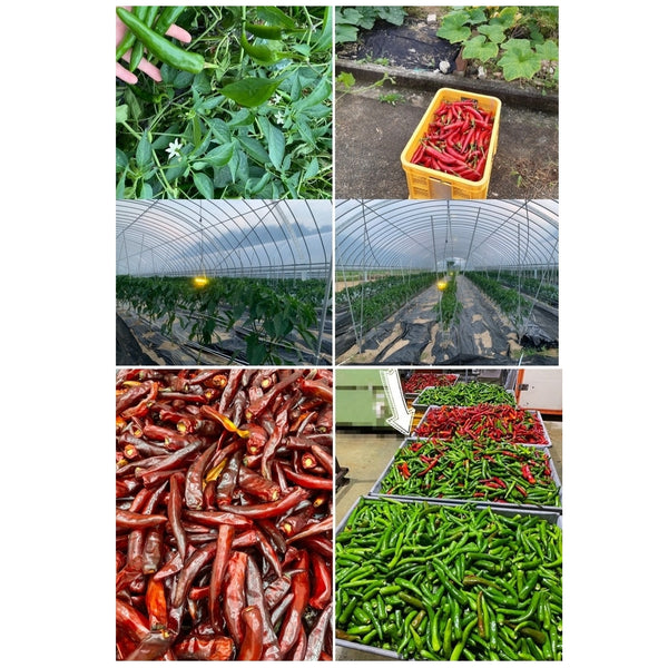 Hyeonjae Farm 100% 韓國產 純天然有機辣椒粉 Hyeonjae Farm 100% Korean Organic Red Pepper Powder 500g