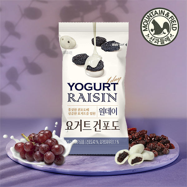 韓國Mountain & Field乳酪 提子籽 葡萄乾 每日果仁 20g x 10包 Korea Mountain & Field Yogurt Raisin Pocket Nuts 20g x 10 bags