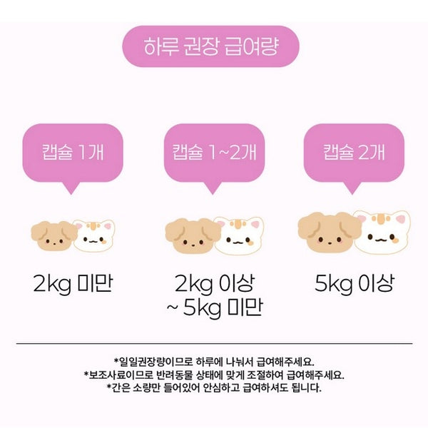 韓國PENEFIT 天然南瓜營養拌粉 Korea PENEFIT Sweet Pumpkin Palette Powder 4g x 15