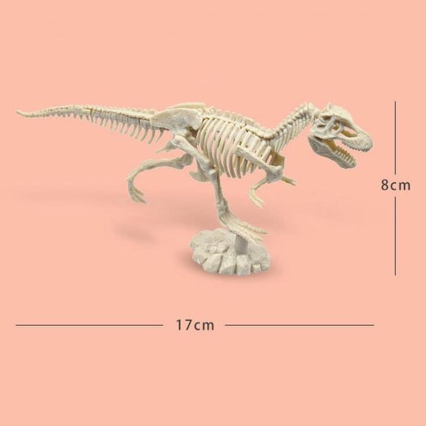 3D恐龍霸王龍化石 考古挖掘 模型玩具 (適合3歲或以上) 3D Dinosaur King Tyrannosaurus Fossils Excavation Kit (Suitable for 3 years old +) <hm0619>