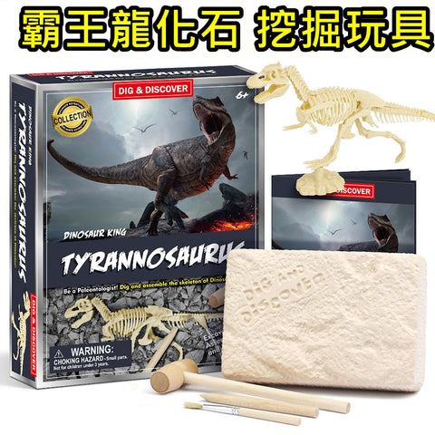 3D恐龍霸王龍化石 考古挖掘 模型玩具 (適合3歲或以上) 3D Dinosaur King Tyrannosaurus Fossils Excavation Kit (Suitable for 3 years old +) <hm0619>